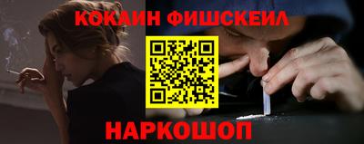 гашик Моздок