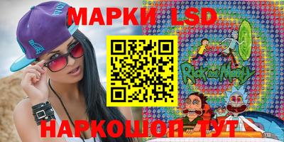 гашик Моздок