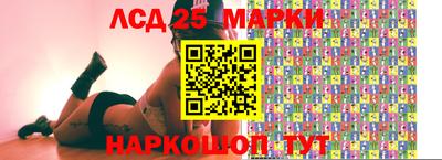 гашик Моздок