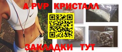 гашик Моздок