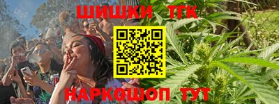 гашик Моздок