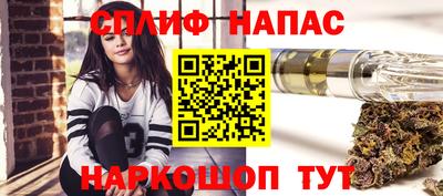 гашик Моздок