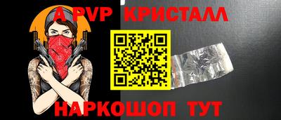 гашик Моздок