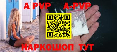 гашик Моздок